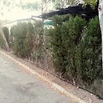 马赛纳斯中心假日酒 莫哈卡尔