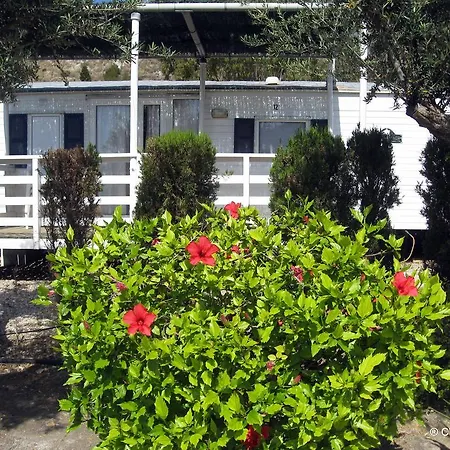 Macenas Mojácar
