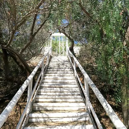 Camping Macenas